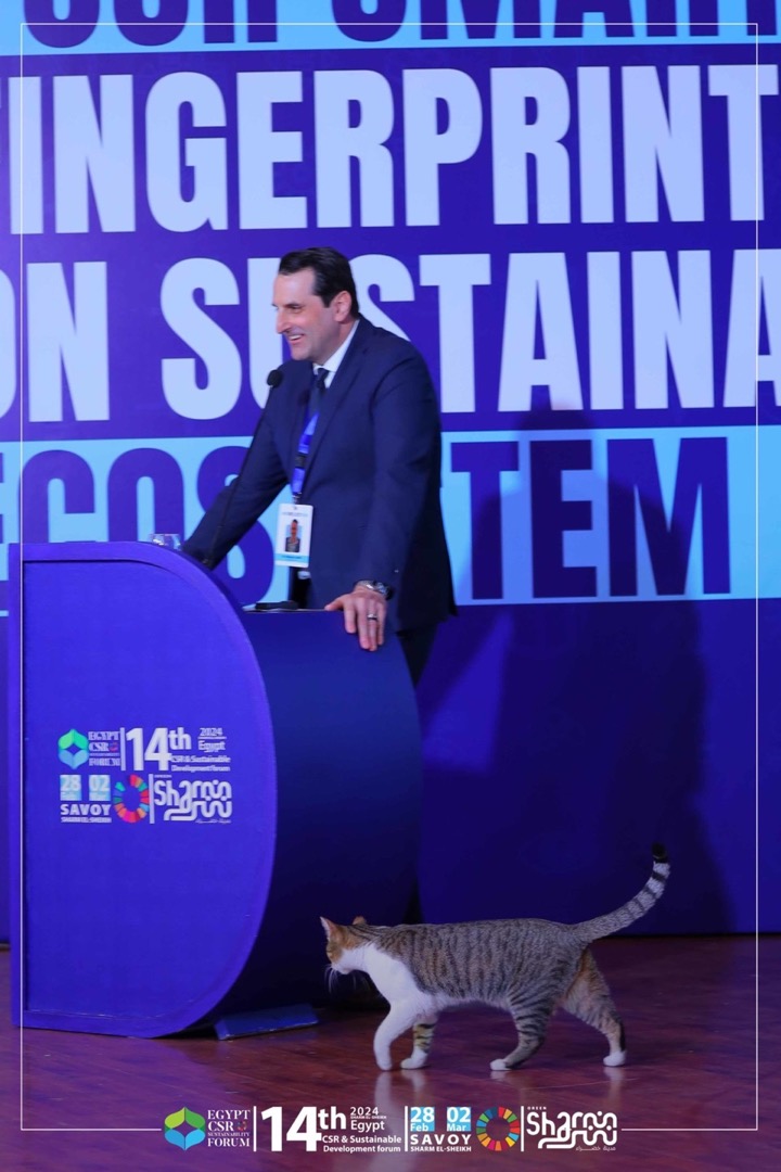 Équipe Quambio en atelier consulting